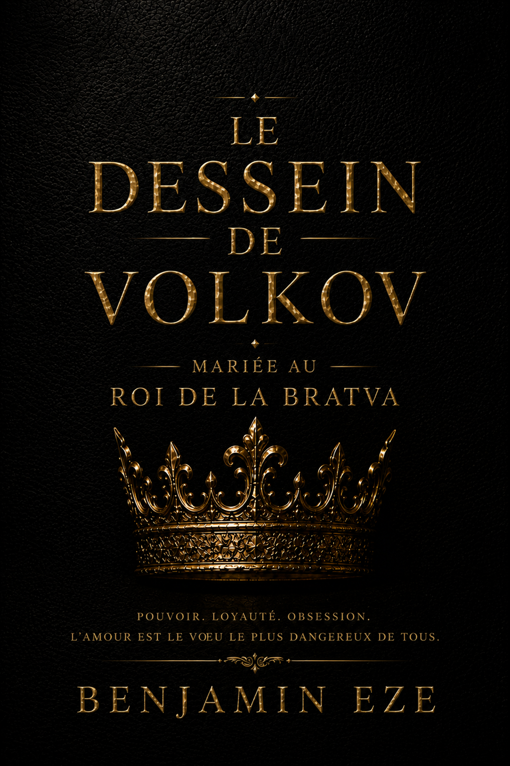 Couverture de Le Dessein de Volkov